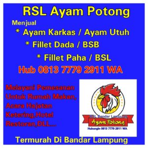 jual ayam potong bandar lampung,jual fillet dada bandar lampung,jual ayam filet bandar lampung
